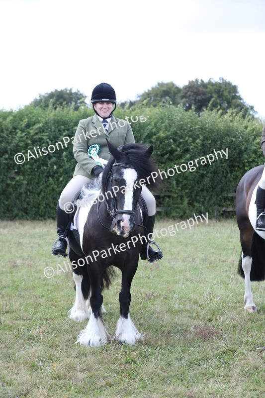 20250831-4359 - Class 20 - Ridden Coloured