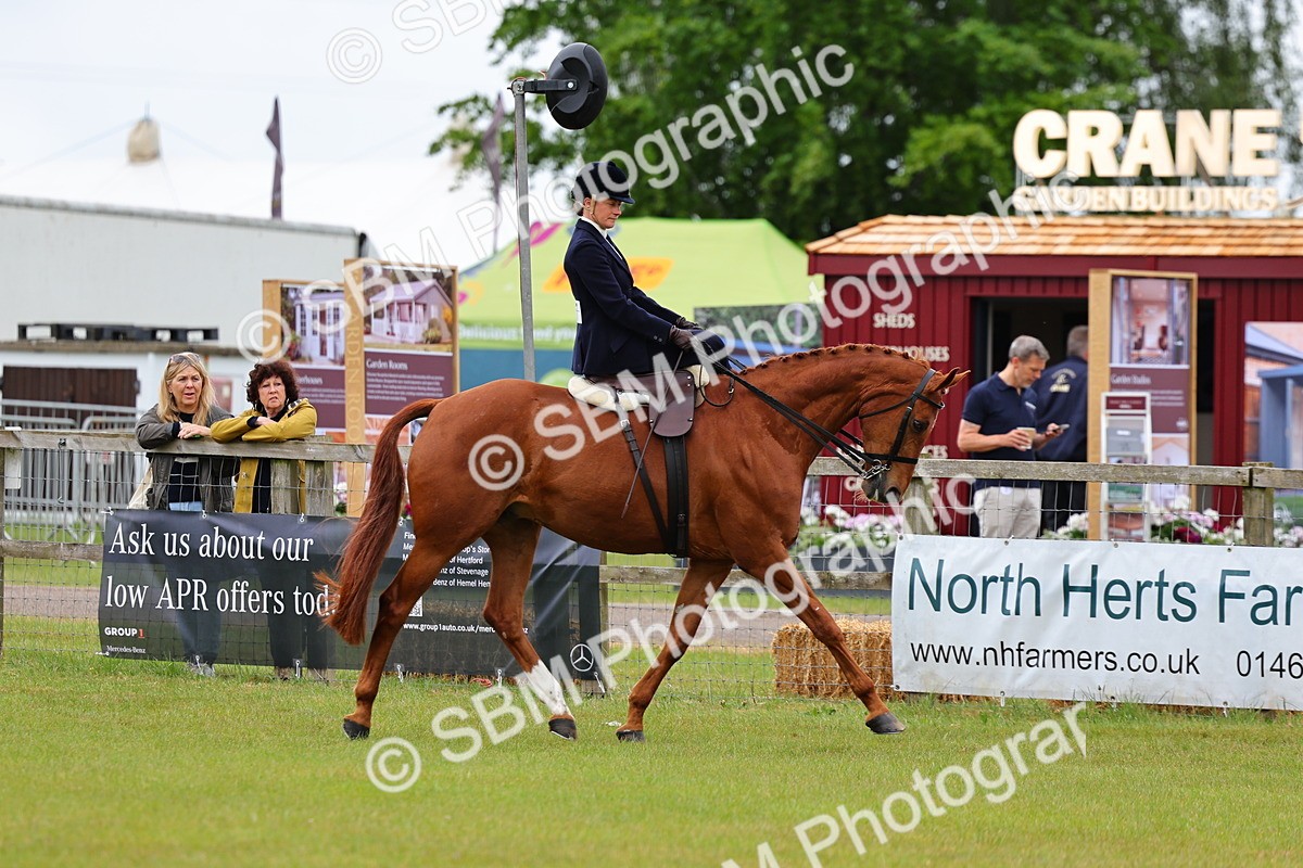 SBM_02753 - Class 9-11 Side Saddle including LIHS Rising Star Ladies Show Horse