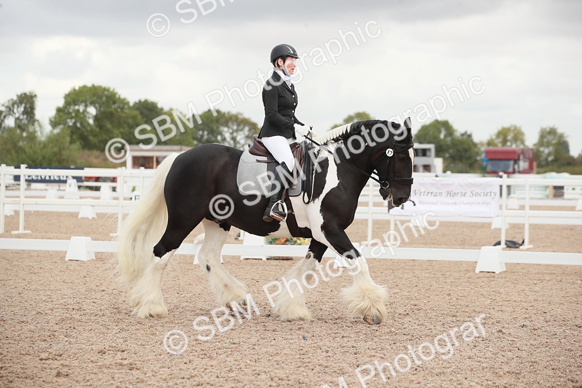 SBM_03837 - Class 31 - Prelim 1