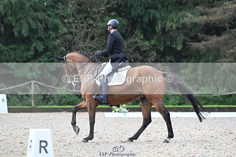 231019-110725-01736 - 036-DIAMANT.CRYSTAL.BLUE-Adam.Trew-DR