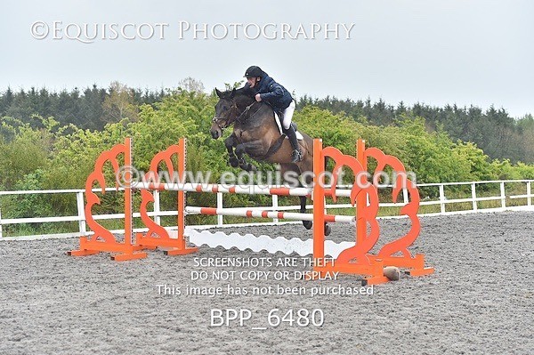 BPP_6480 - SUN CLASS 39 NEWC/1.10M