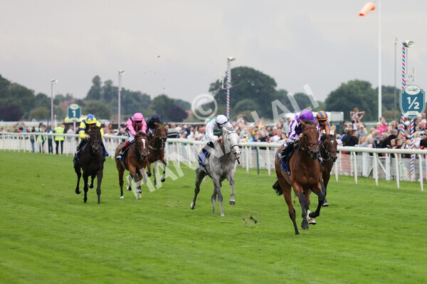 yr19082021r4-37 - Race 4 3.35pm Darley Yorkshire Oaks (British Champions Series race)