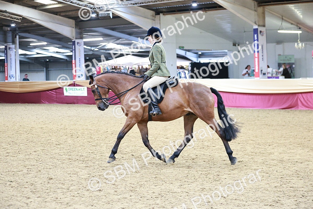 SBM_03556 - Class 6A Area Ridden Pre-Vet