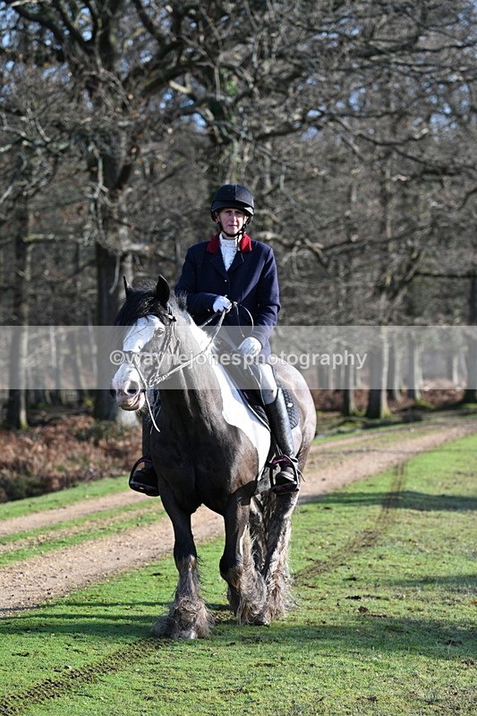 WJ7_7832 - Line 3 (no line 4 or 5)