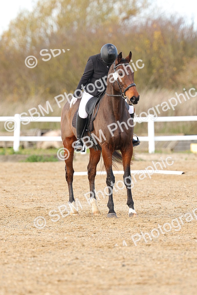 SBM_000805 - Novice 4