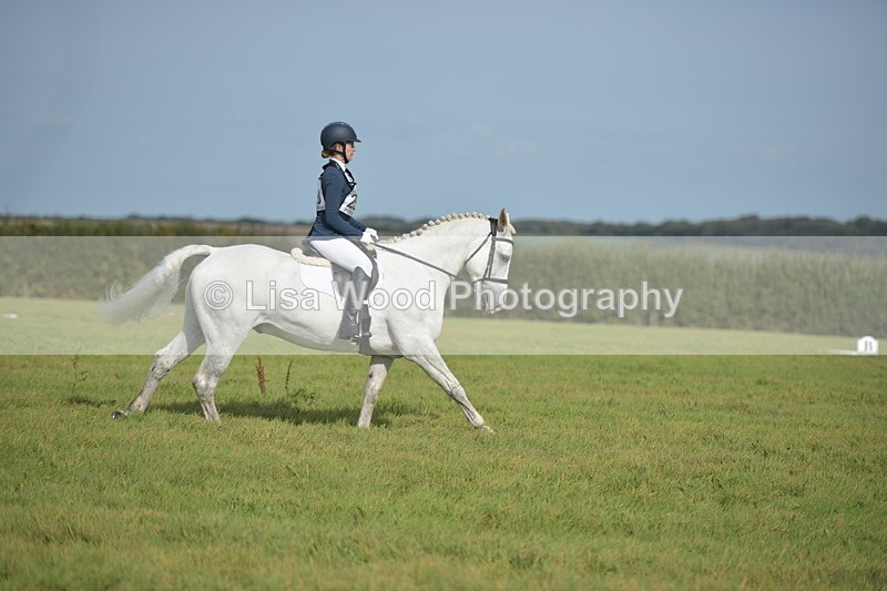 RAY_7704 - Class 2B: Trekenning Open: Dressage