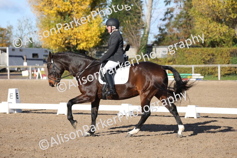 20251102-0512 - Class 3 - Novice 5