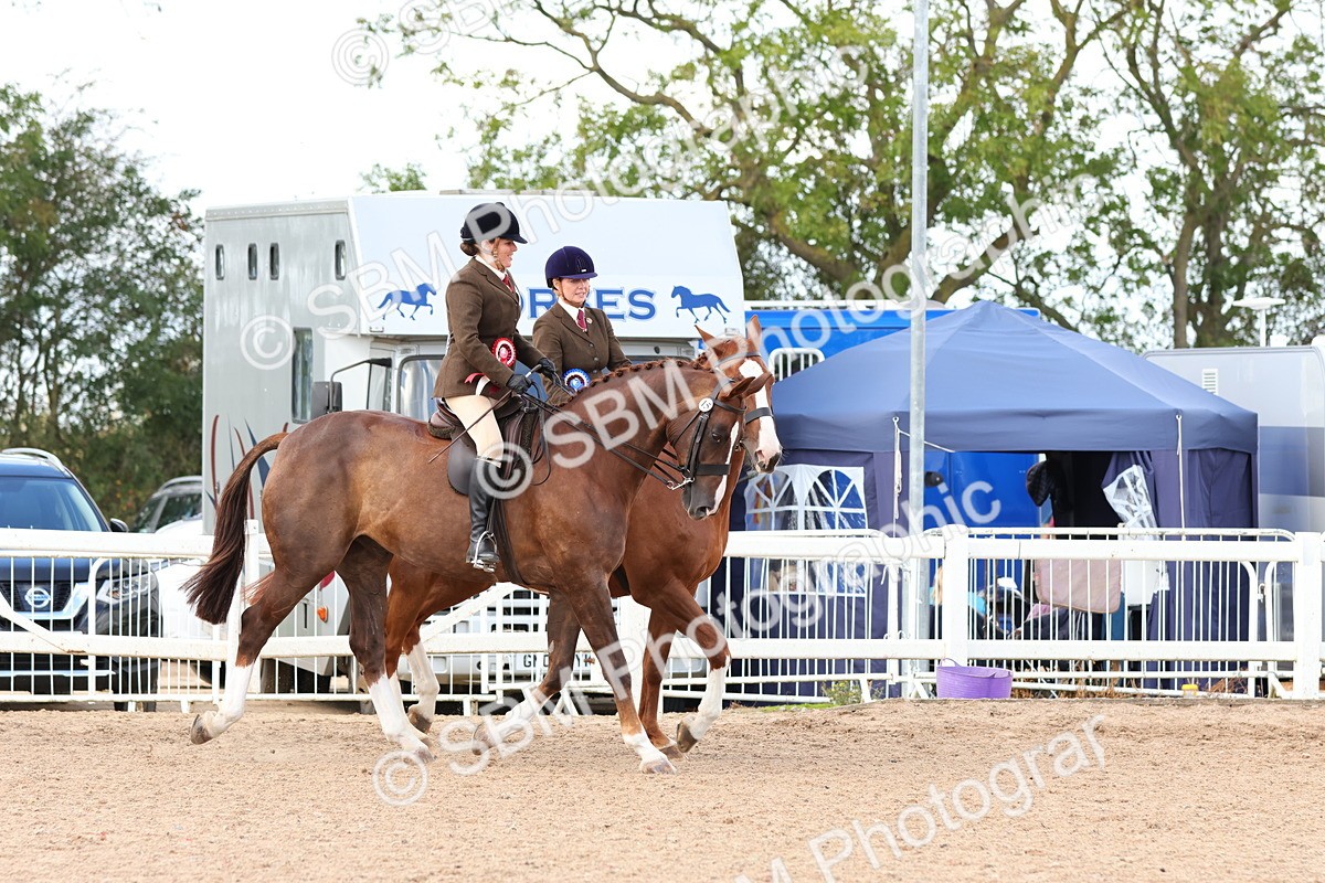 SBM_13586 - Class 212 - Ridden Hunter  - Large