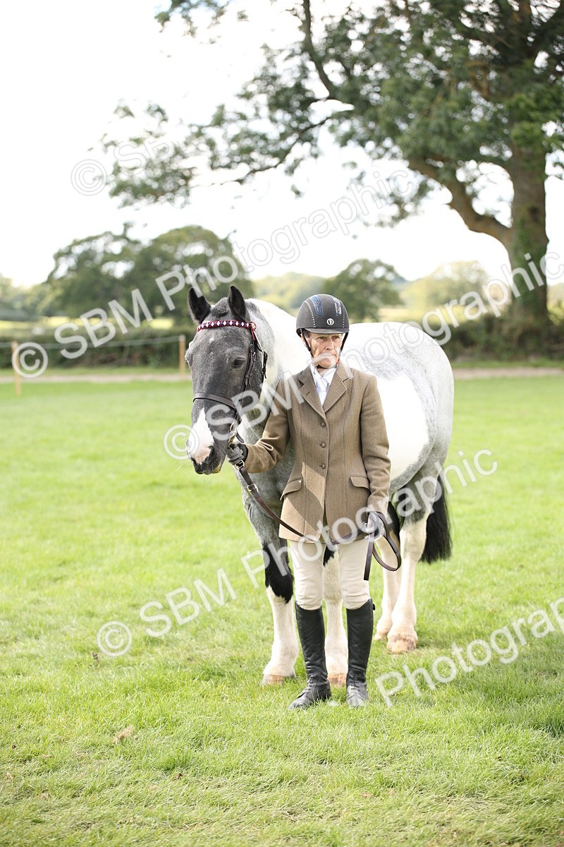 SBM_44420 - S24 - Young Veteran in hand