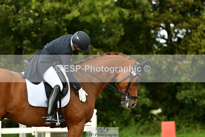 230912A-163346-01805 - Cls 18 FEI PSG