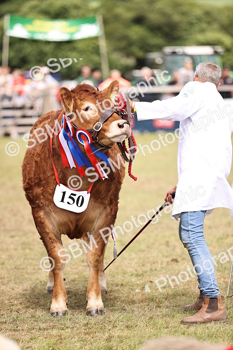 SBM_16917 - Grand Parade