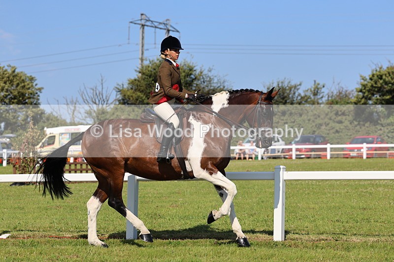 IMG_1628 - Skewbald and Piebald Ridden Championship