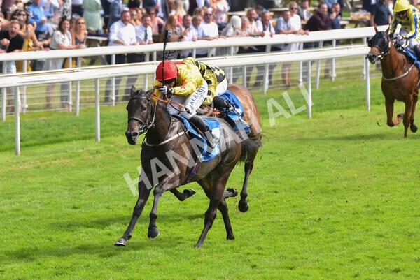 yr10072021r4-10 - Race 4: 3.30pm John Smith's Nursery Stakes