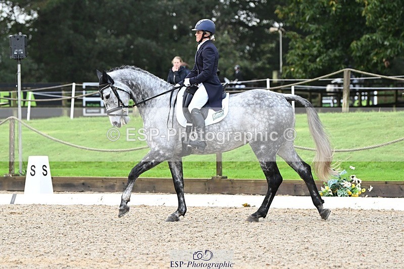 231019-095118-01242 - 028-BOLEYBAWN.COOLEY.LADY-Claire.Fielding-DR