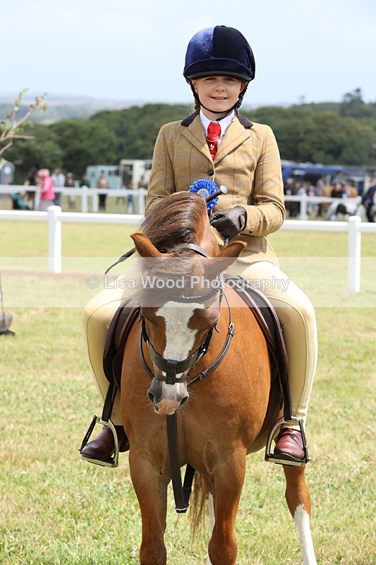 JPP_1987 - Class 18: Tiny Tots Working Hunter Pony