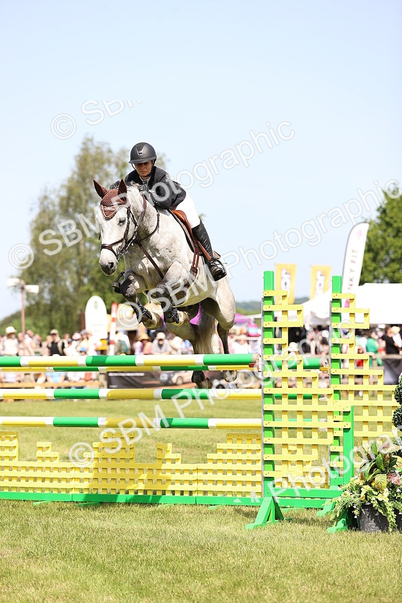 SBM_04001 - Class 201 - British Horse Feedds Speedi Beet HOYS Grade C