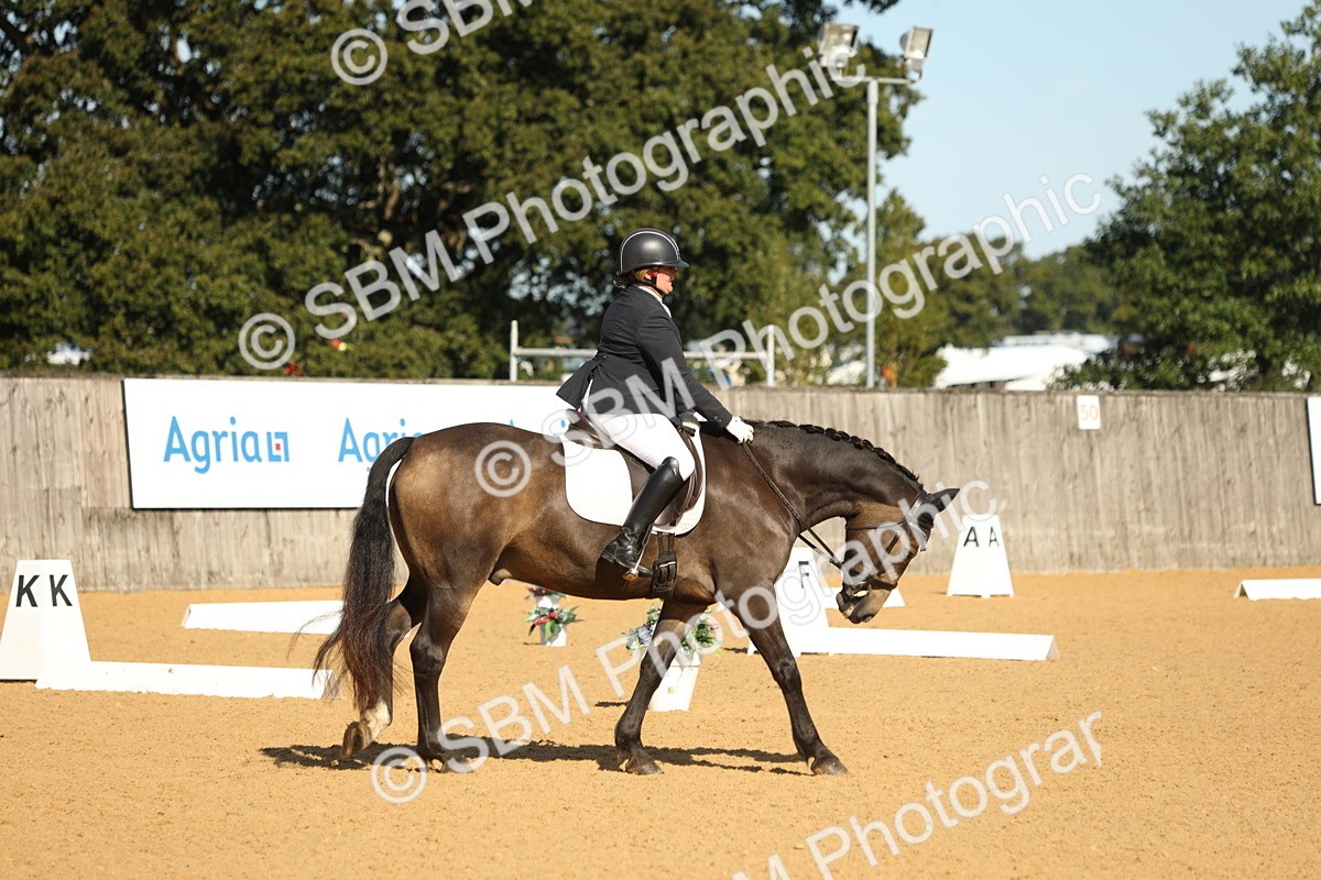 SBM_18635 - D10 - Small Tour Championship - Prelim 2