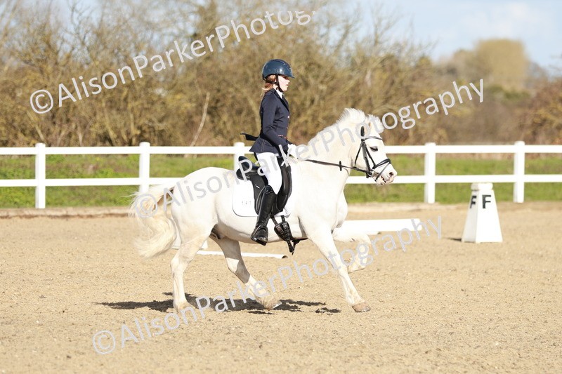 20260314-4522 - DR4 - Prelim 2