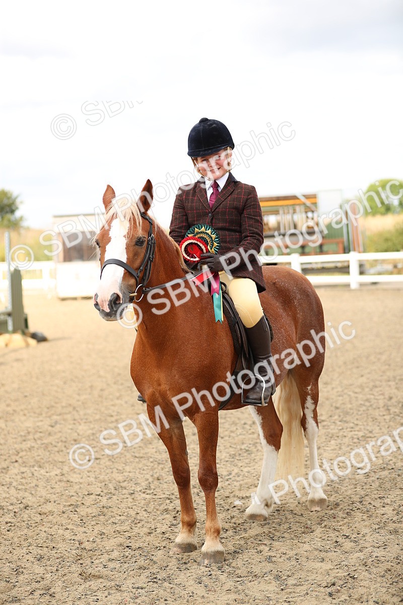 SBM_04798 - Class 46b Style & Performance 50cm (20+)