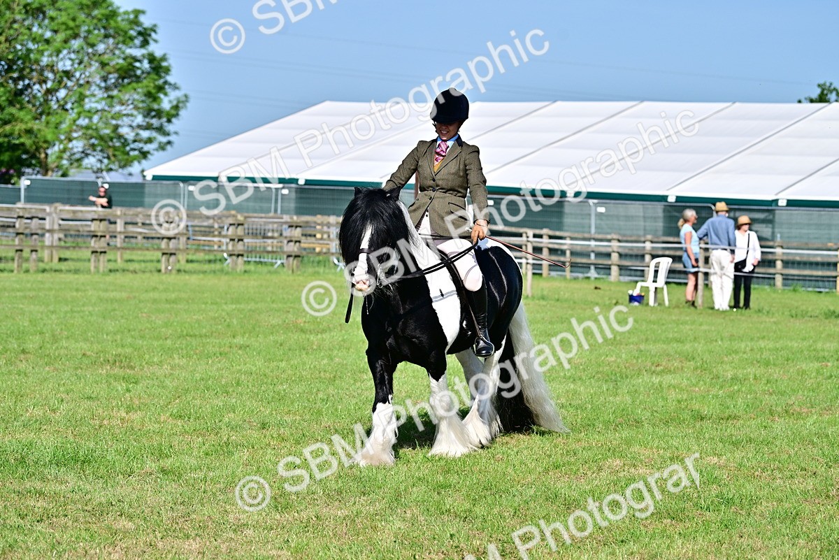 SBM_11697