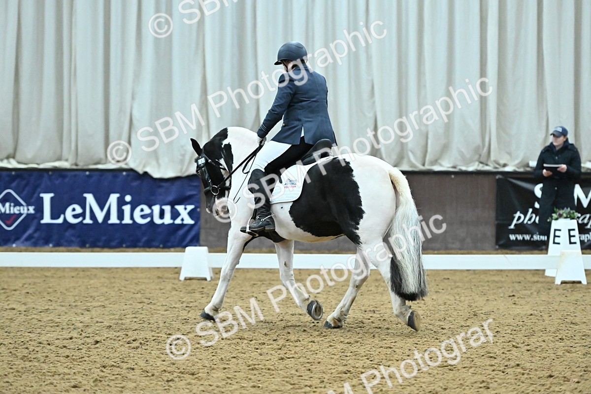 SBM_007414 - Class 81 - Novice 3