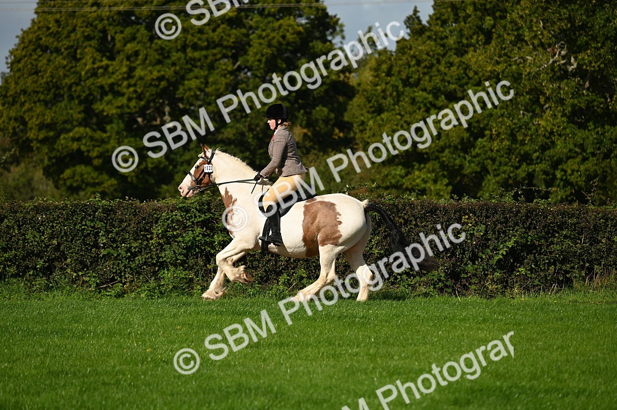 SBM_01592 - S2 - TSR Ridden Horse Showing
