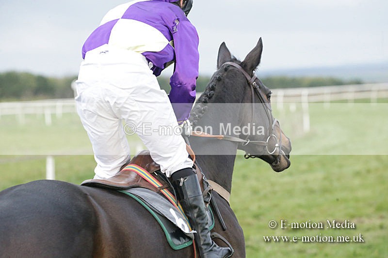 PtP 011219-0399 - Hursley Hambledon Hunt Point-to-Point 01/12/19