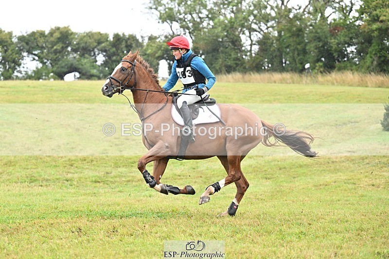 TS_b0807936 - SAT BE 90 Recovered Files fence 8