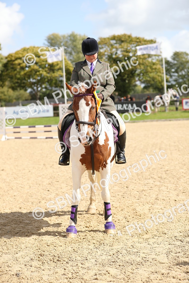 SBM_05833 - J35 - Veteran Rider 60cm