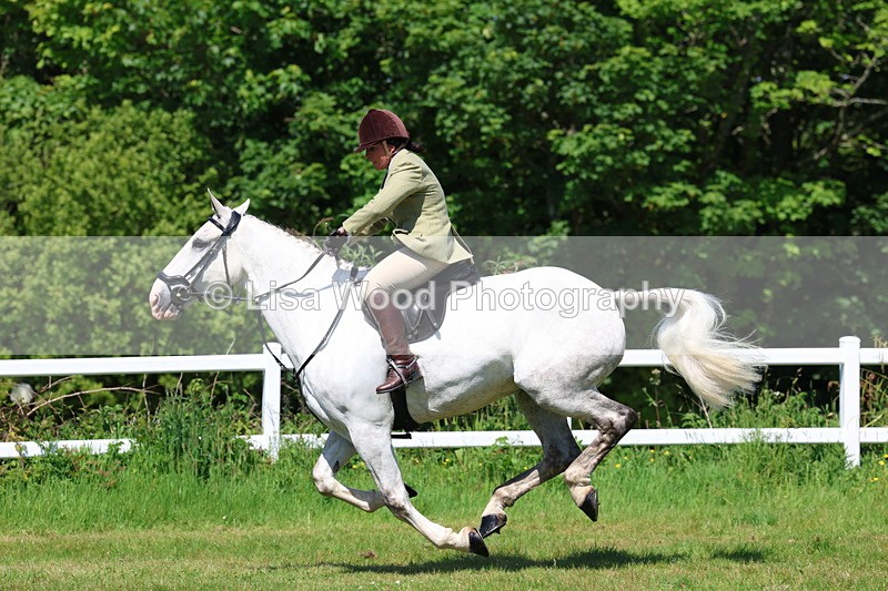 3E7A6918 - Class 30: Novice Working Hunter