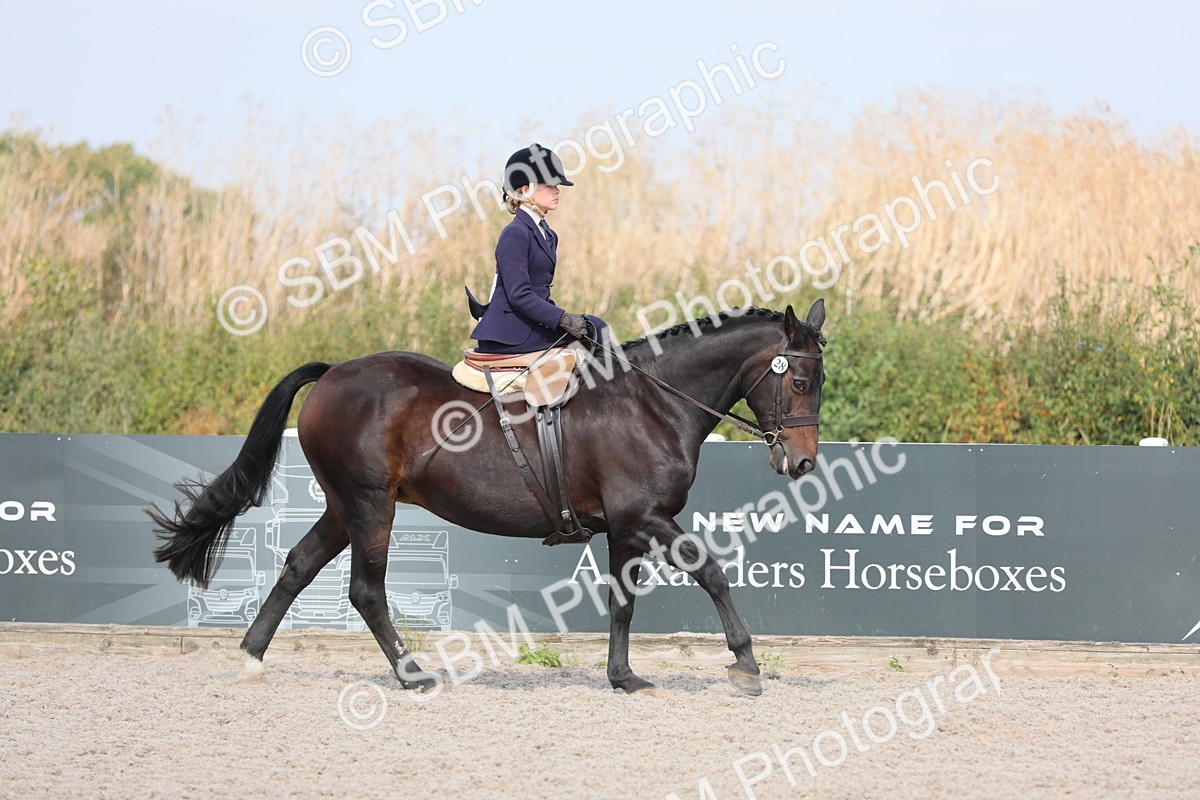 SBM_14524 - Class 211 Best Side Saddle Horse/Pony