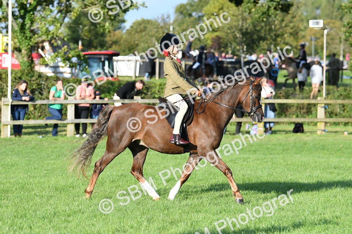 SBM_54041 - S23 - 1st Ridden Mountain & Moorland Pony