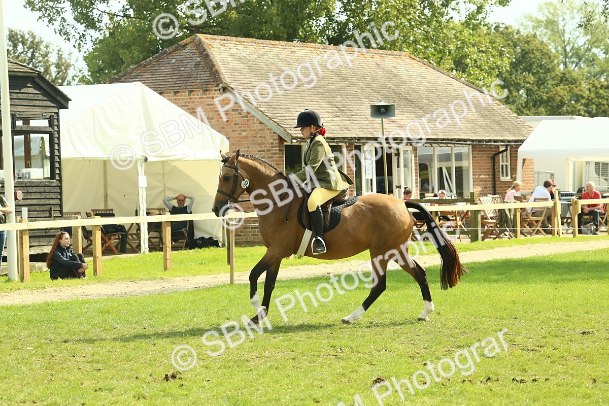 SBM_68871 - S58 - Mini Show Cob Ridden
