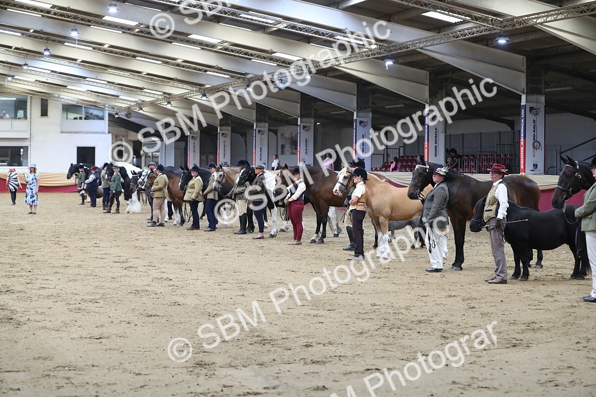 SBM_06398 - Class 9R Regional- IH Pre Vet