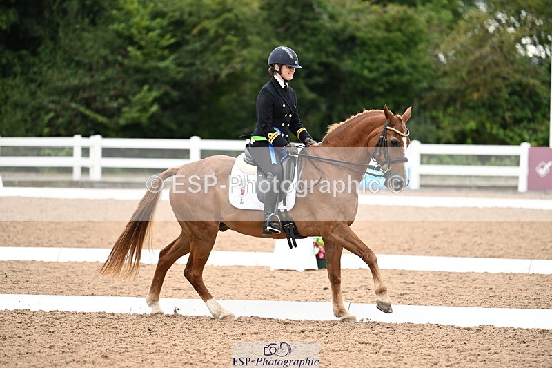 240815A-153936-02413 - Cls 3-P PSG Bronze