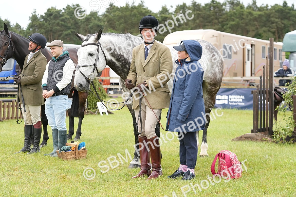 SBM_12741 - Class 97-98 - LIHS BSHA Rising Star Working Show Horse Hunter