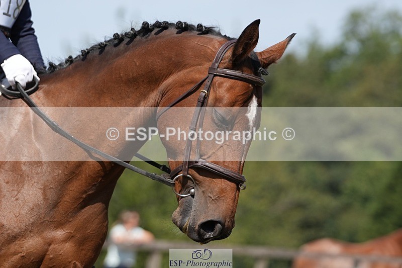 250823A-115348-29228 - Arena A