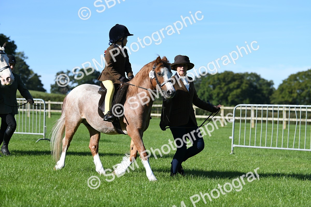 SBM_35515 - S17 - Condition & Turnout - Lead Rein