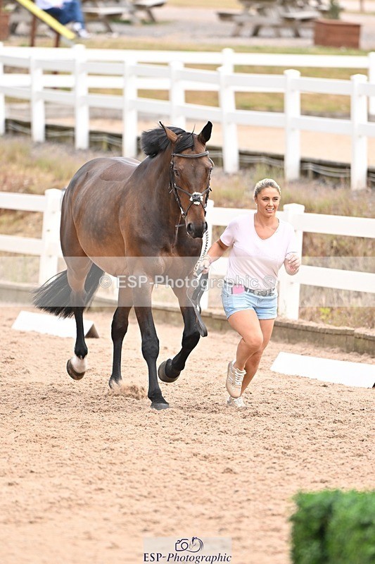 250716-143937-01268 - Trot Up 2.30 to 3.30