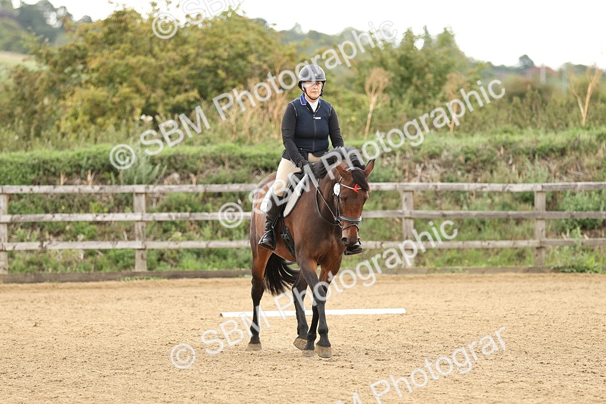 SBM_002117 - Intro 1-2