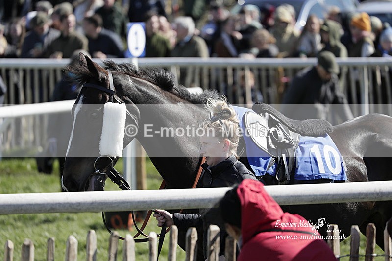 PtP 100423 577 - Old Berkshire Point-to-Point Lockinge 10/04/23