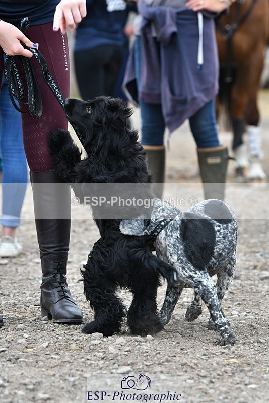 230817-124220-02797 - Stable Shots