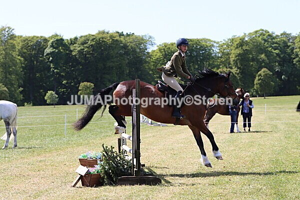 IMG_4209 - Working Hunter