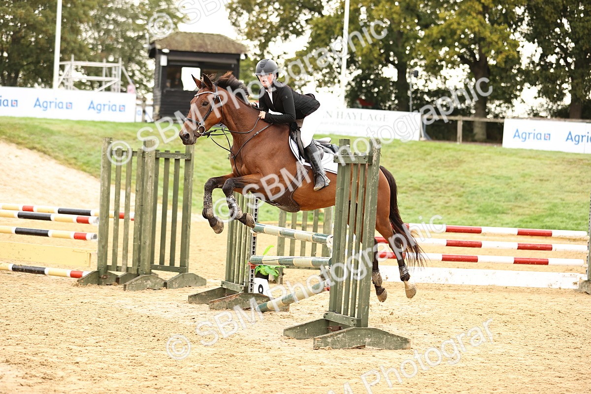 SBM_58321 - J41 - Grand Tour Horse & Pony 95cm