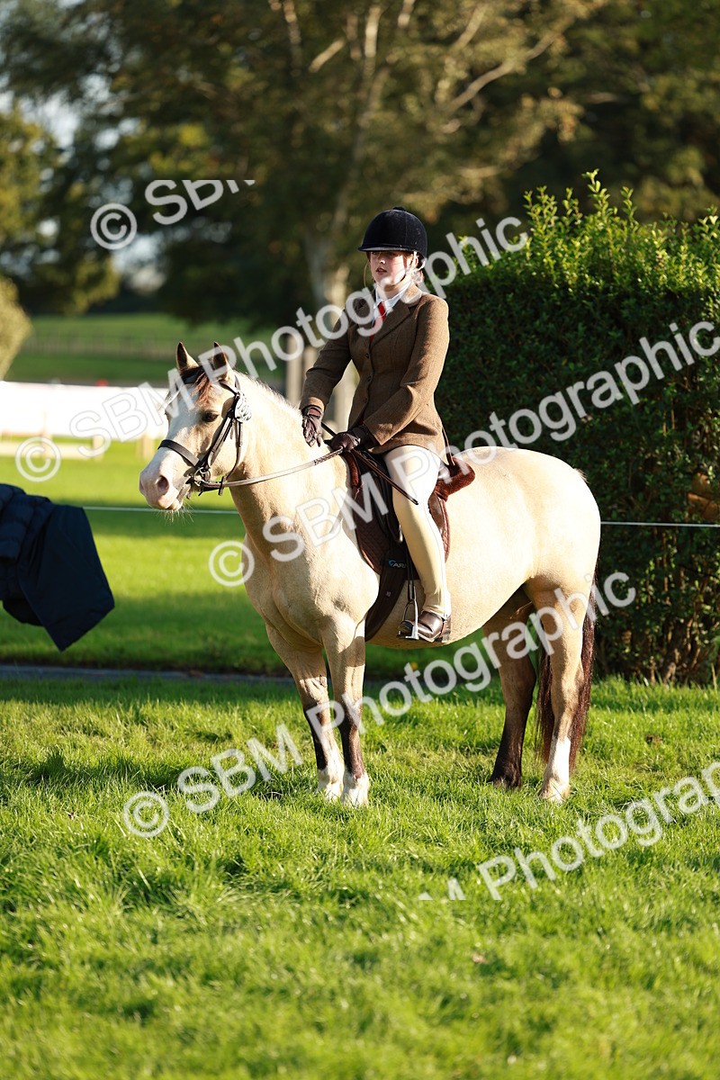 SBM_28772 - S7 - Novice & Newcomer Ridden Pony