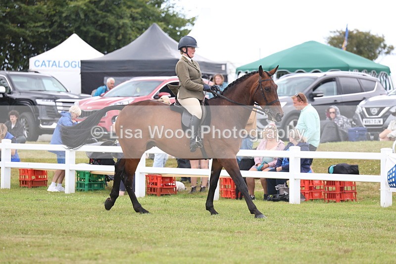 3E7A1397 - Class 9: Open Hunter