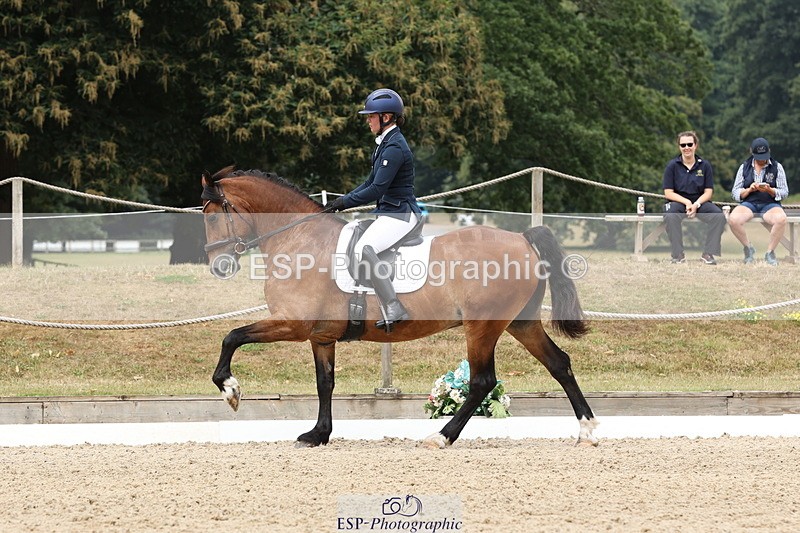 250718A-114638-00958 - 117-Alexandra.Northwood-Scurlagecastle.Gino