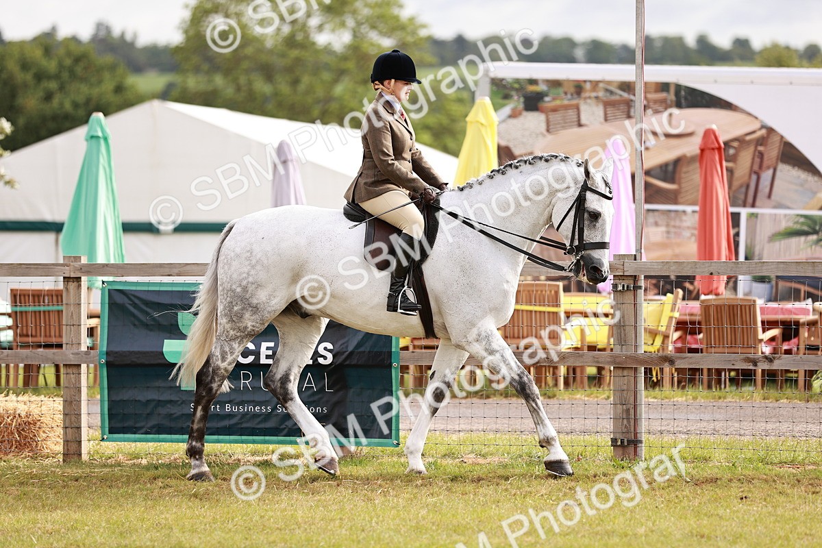 SBM_10846 - Class 81-84 - RIHS Ridden hunters Inc Ladies Hunter