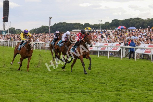 270724-Race 6-Ziggy-4801 - Race 6 5.10pm Sky Bet, For The Fans Handicap