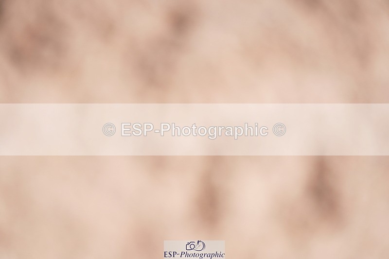 240728A-134440-09243 - Cls 26 NAF Silver Jump Off and Presentations